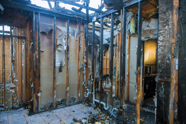 Professional Fire Damage Removal technician working in Bridge City, TX
